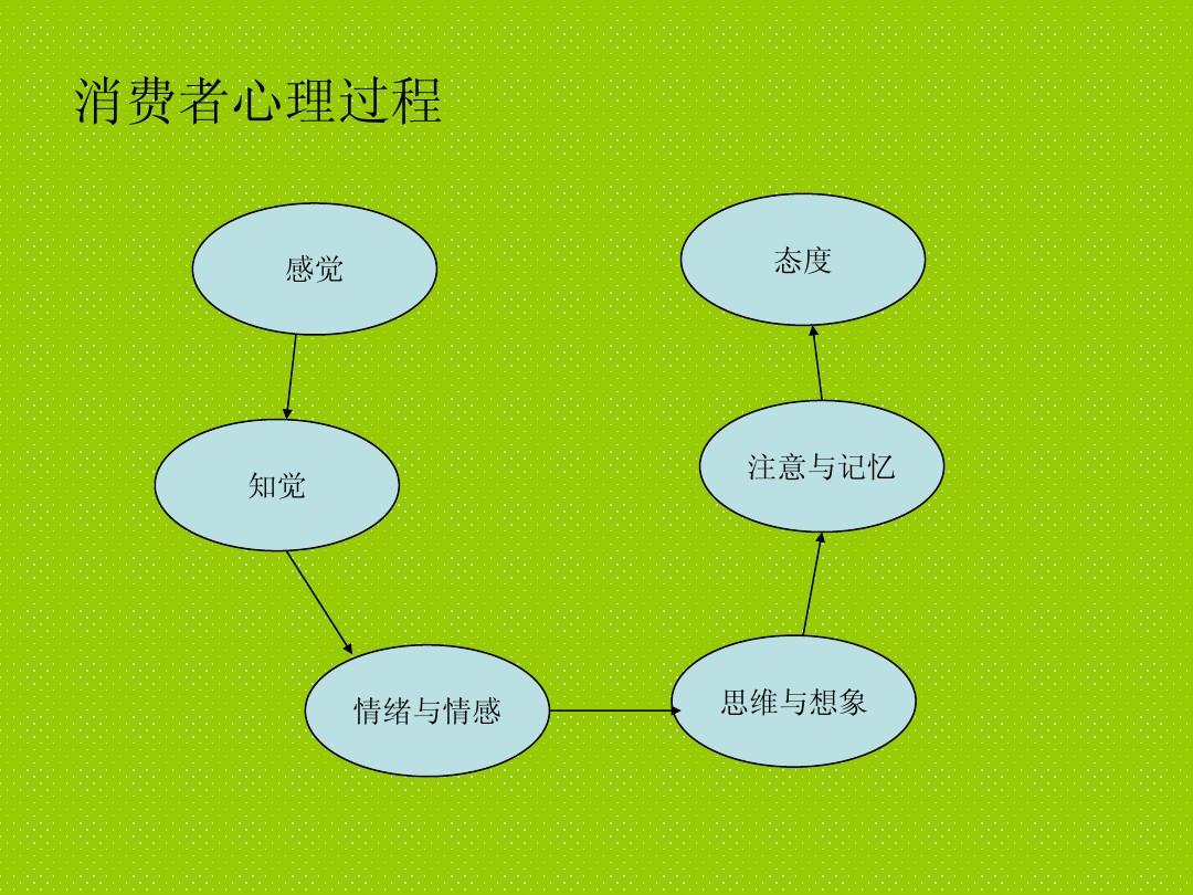 消费者情感过程，探索、体验、评价与反应之旅