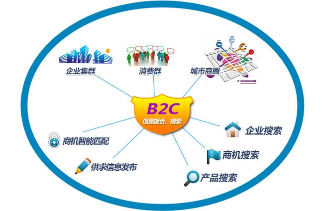 B2G电商平台类型及其特色概述