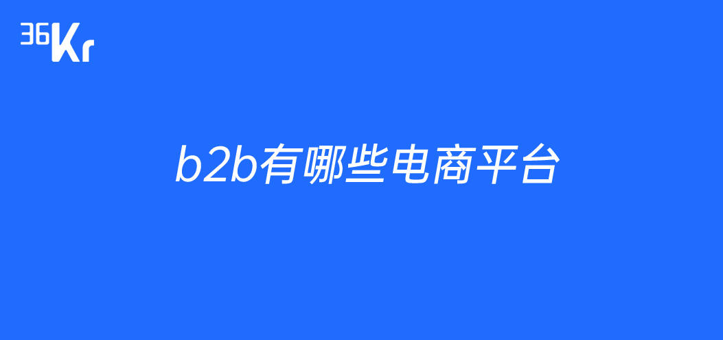 主流B2B电商平台深度解析与比较，全面解读各大平台优势与特点