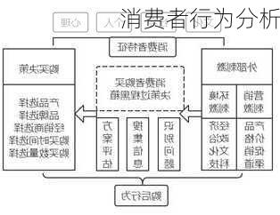 消费者购买行为深度解析，消费行为、影响因素与决策过程探究