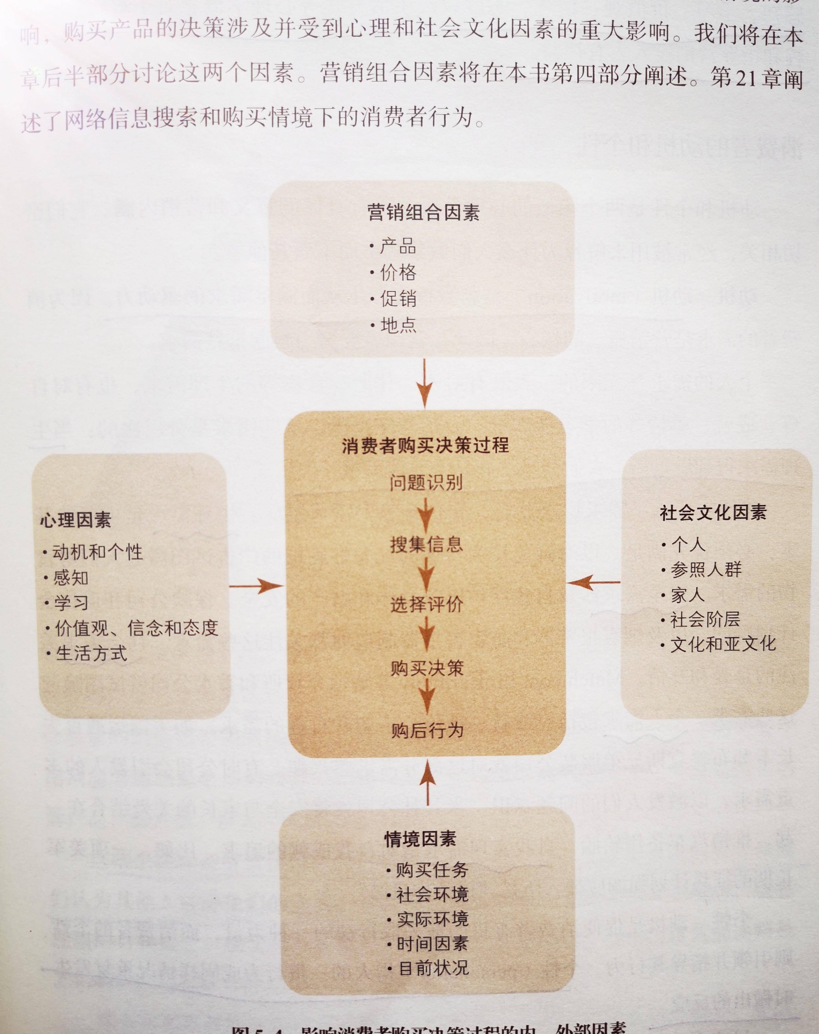 消费者发展性的多维度展现及实例深度解析