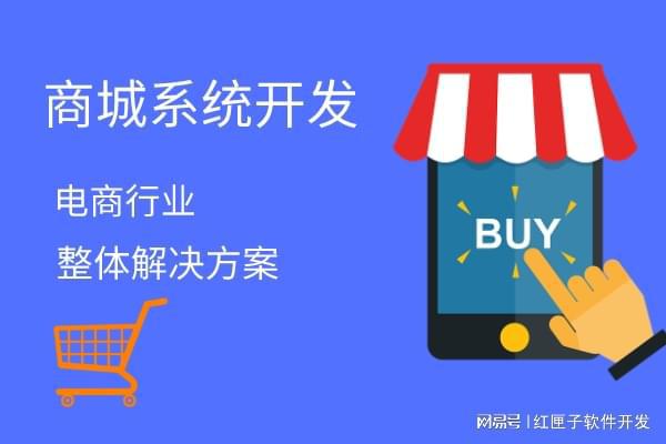 个性化电商体验开发指南，平台定制关键步骤与策略全解析