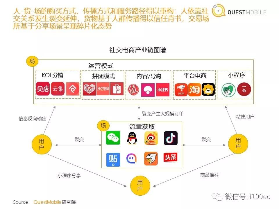 社交电商头部品牌，引领潮流，塑造未来新商业格局