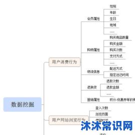 电商平台数据挖掘，探索商业智能的新领域奥秘