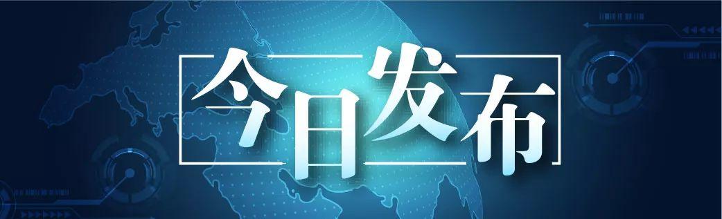 目标消费者洞察分析案例，从洞察到行动的实践之路