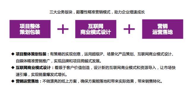 精准营销策略的方法与实践，实战指南与案例分析