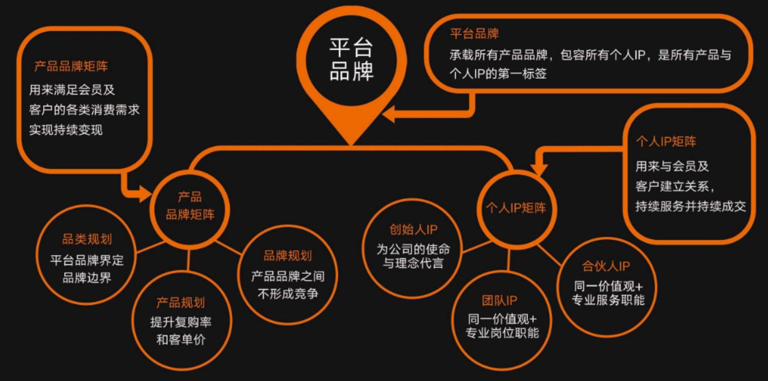 电商模型图片种类及应用概览