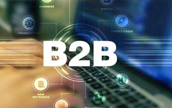 B2B网站平台的多样性与探讨