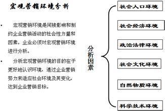 影响者营销策略深度案例分析报告