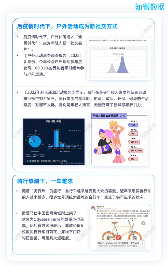 品牌口碑营销案例深度解析与启示报告范文